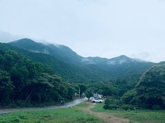 -杨梅坑