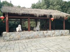 -白马涧龙池景区