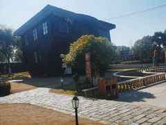 -金山农民画村-枫泾波兰倒置屋