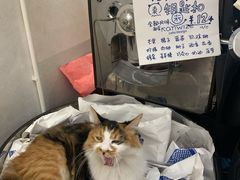 -玫瑰咖啡(中山六路店)