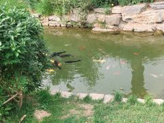-春风习习