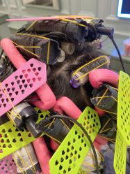 -E-salon伊上造型