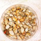 自制花甲粉丝[胜利]