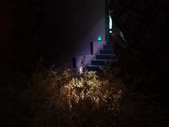-花马天堂云南餐厅 Lost Heaven(高邮路店)