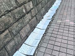 -人民公园-相亲角