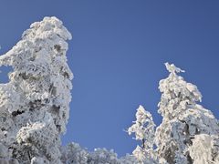 -瓦屋山景区