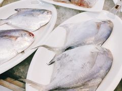 -渔中舟海鲜大排档(普陀沈家门店)