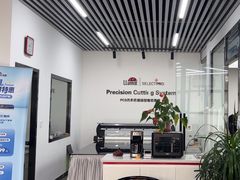 -龙膜全球臻选店·汽车贴膜·隐形车衣(北京琪朗店)