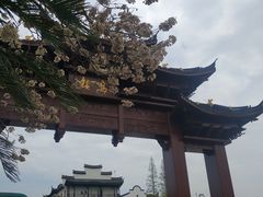 -乌镇景区