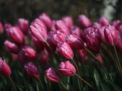 -无锡新湖铂尔曼大酒店