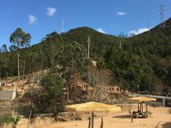 -泉州海丝野生动物世界