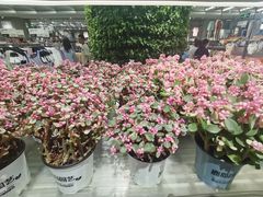 -鹿岛生活(熙地港店)