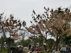 -白石龙音乐公园