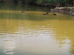 -泉州海丝野生动物世界