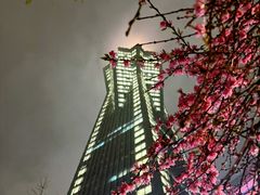 -西湖文化广场