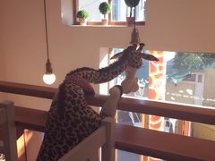 长颈鹿咖啡-长颈鹿咖啡(大学路店)