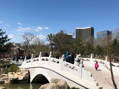 -西海子公园