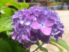 -长春观斋补堂素菜馆
