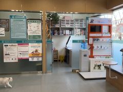 -小伙伴宠物医院•急重症转诊中心·老年专科·犬猫全科(北大街总院)