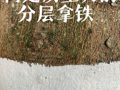 -厦门理工学院(集美校区)
