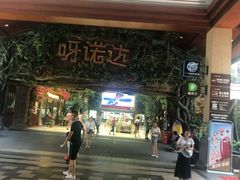 -呀诺达热带雨林