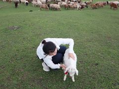 -新疆那拉提国家旅游度假区