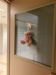 -杭州贝瑞斯美华妇儿医院·早孕·产检·儿科