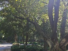 -采石矶景区