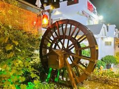 -慢丽江·云南野生菌土鸡锅(付家庄店)