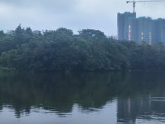 -飞来湖湿地公园