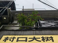 -村口大树(长乐路店)