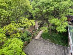 -巴倒烫陆派重庆火锅(南山店)