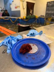 -巡鱼道·室内垂钓·渔具店