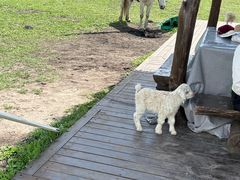 -新疆那拉提国家旅游度假区