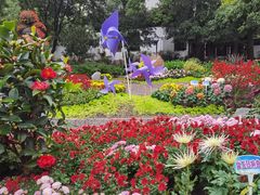 -汇龙潭