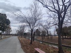-嘉北郊野公园