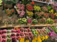 -秦美花卉(天朗·莱茵小城2期店)