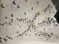 -长江文明馆