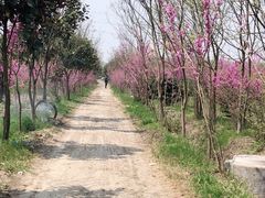 -上海长途汽车客运总站