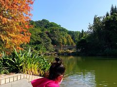 -云溪植物园