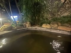 -融汇温泉