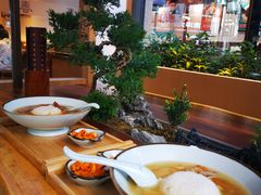 -王春春鸡汤饭(成都城西优品道店)