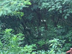 -上海市保健医疗中心(华东疗养院)