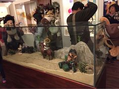 -济州岛泰迪熊博物馆