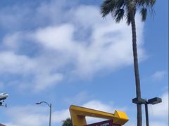 -In-N-Out Burger(LAX)