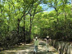 -灵谷景区