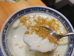 菊花双皮奶-赵记传承(广州越秀五羊新城店)