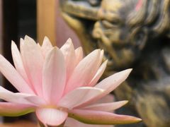 -古大圣慈寺