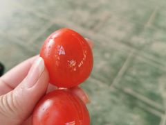 -北戴河集发农业梦想王国