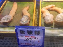 -驻海渔市(置信店)